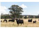 69 Upper Mebul Road, Mudgee NSW 2850