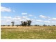 69 Upper Mebul Road, Mudgee NSW 2850