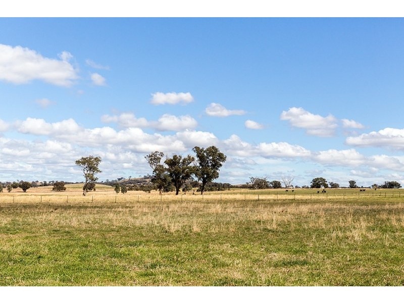 69 Upper Mebul Road, Mudgee NSW 2850