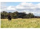 69 Upper Mebul Road, Mudgee NSW 2850