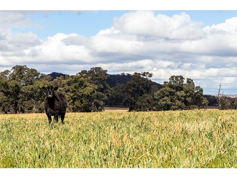 69 Upper Mebul Road, Mudgee NSW 2850