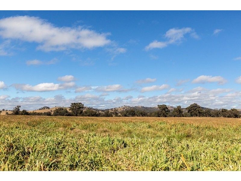 2327 Goolma Road, Mudgee NSW 2850