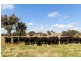 2327 Goolma Road, Mudgee NSW 2850