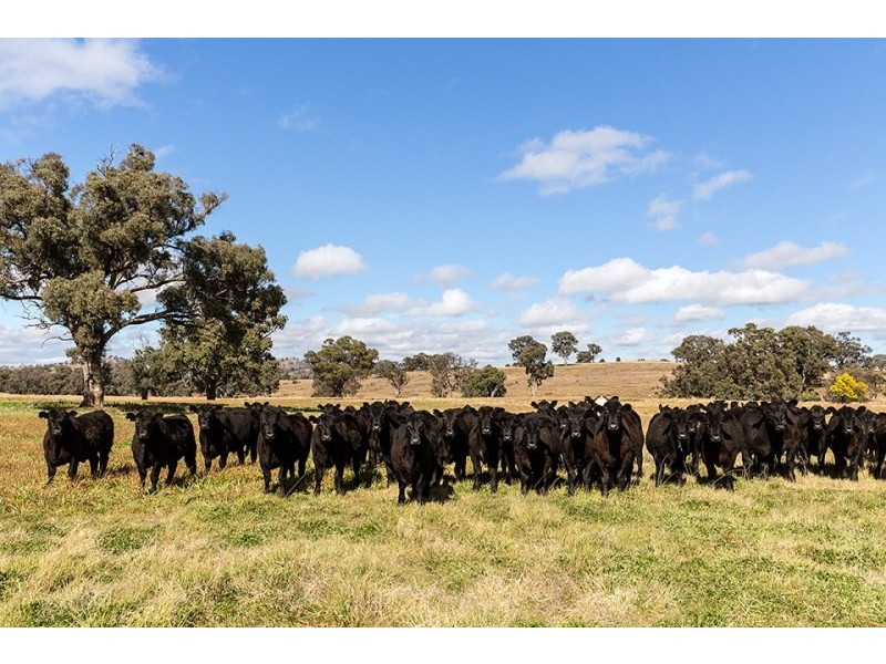 2327 Goolma Road, Mudgee NSW 2850