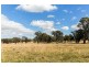 2327 Goolma Road, Mudgee NSW 2850