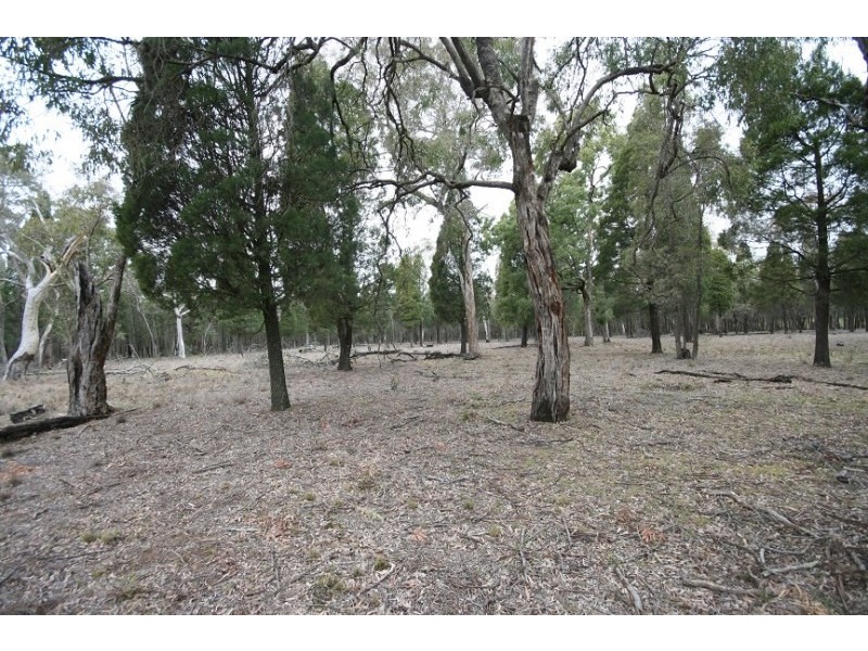 166 Maiala Road, Mudgee NSW 2850