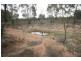 166 Maiala Road, Mudgee NSW 2850