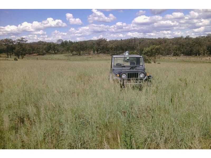 308 Turill Bus Route, Mudgee NSW 2850