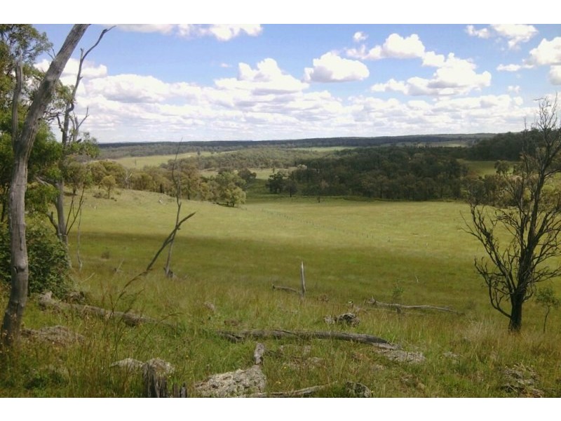 308 Turill Bus Route, Mudgee NSW 2850