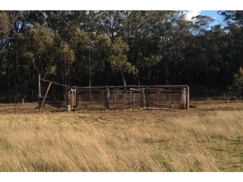 308 Turill Bus Route, Mudgee NSW 2850