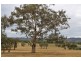 29a Robert Hoddle Grove, Mudgee NSW 2850