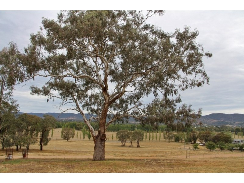 29a Robert Hoddle Grove, Mudgee NSW 2850