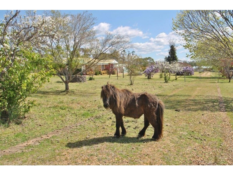 350 Lowes Peak Road, Mudgee NSW 2850
