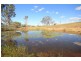 Mudgee NSW 2850