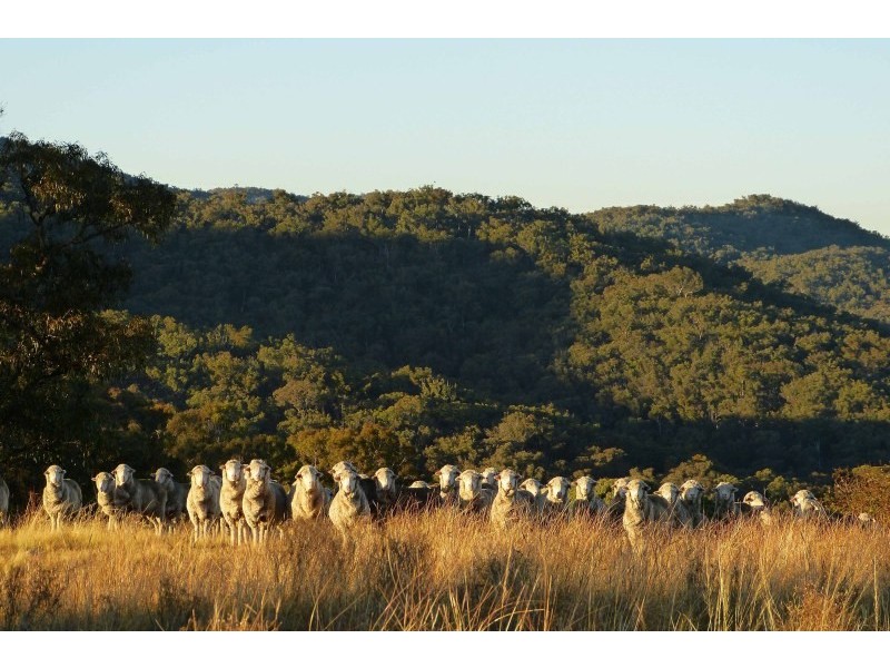 6026 Ilford Sofala Road, Mudgee NSW 2850