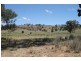 65 Guroba Road, Mudgee NSW 2850