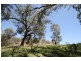 65 Guroba Road, Mudgee NSW 2850