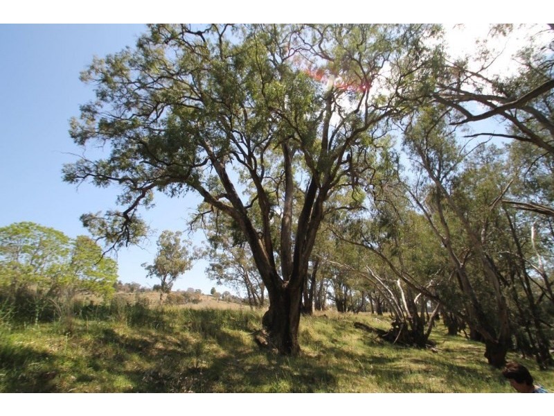 65 Guroba Road, Mudgee NSW 2850