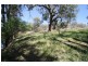 65 Guroba Road, Mudgee NSW 2850