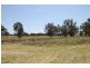 65 Guroba Road, Mudgee NSW 2850