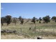 65 Guroba Road, Mudgee NSW 2850