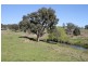 1996 Lower Piambong Road, Mudgee NSW 2850