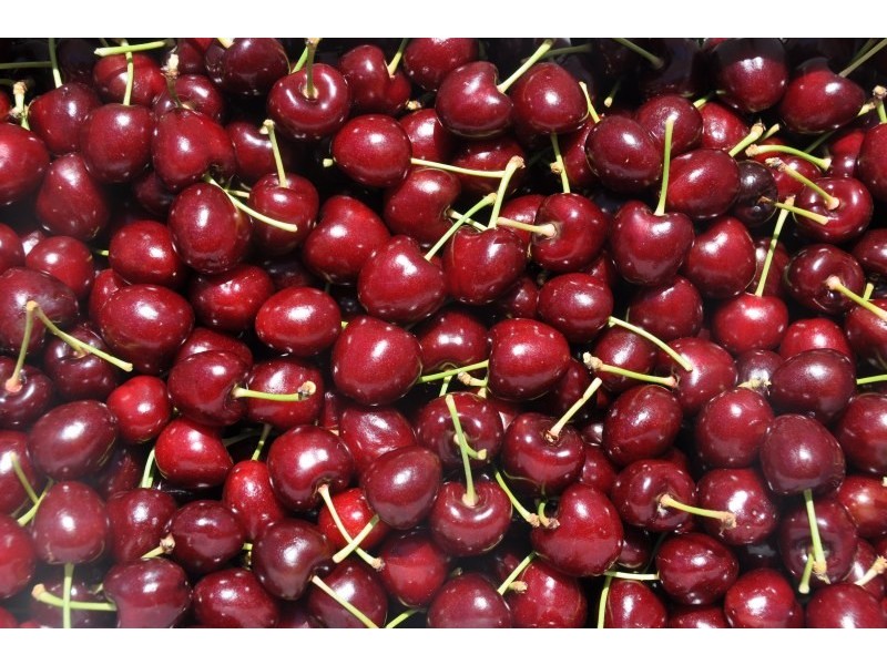 108 Eurunderee Lane, Mudgee NSW 2850