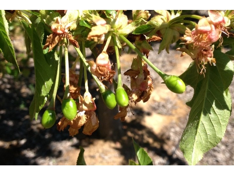 108 Eurunderee Lane, Mudgee NSW 2850