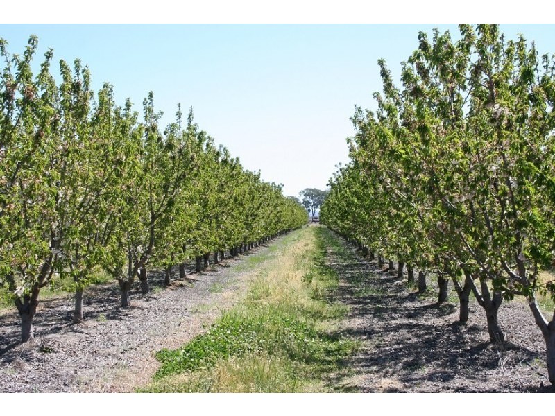 108 Eurunderee Lane, Mudgee NSW 2850