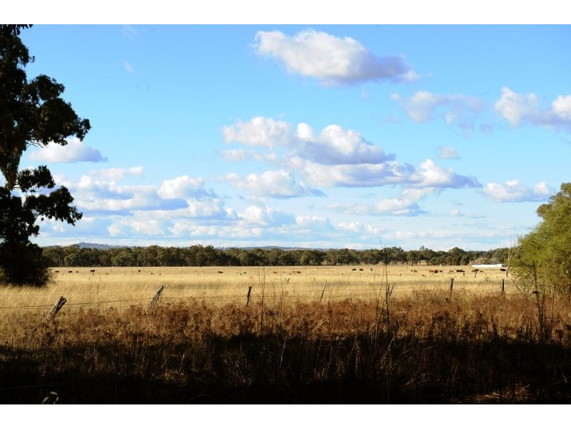 46 Black Lead Lane, Gulgong NSW 2852