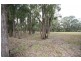 Mudgee NSW 2850