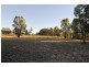 Mudgee NSW 2850