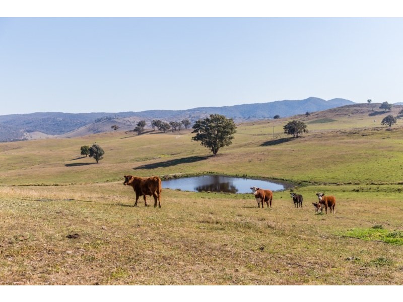 Mudgee NSW 2850