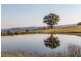 Mudgee NSW 2850