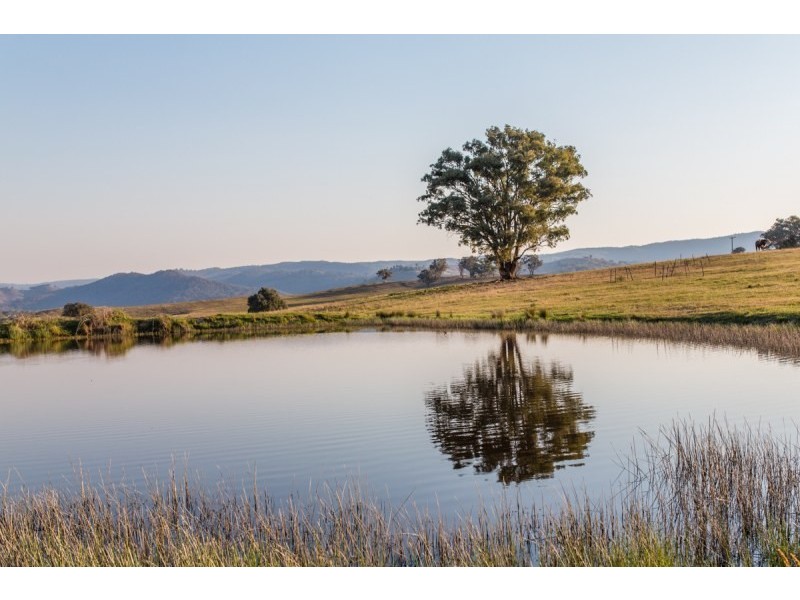 Mudgee NSW 2850