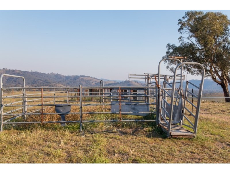 Mudgee NSW 2850