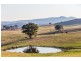 Mudgee NSW 2850