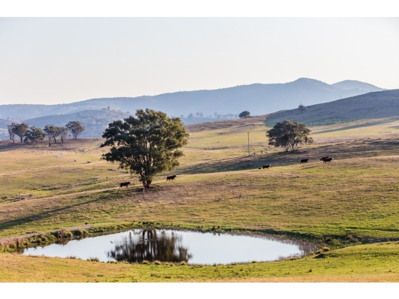 Mudgee NSW 2850