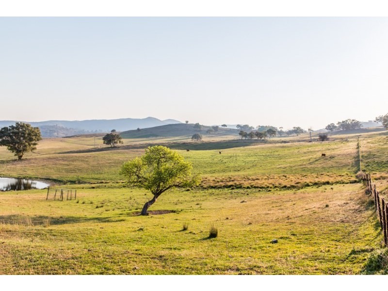 Mudgee NSW 2850