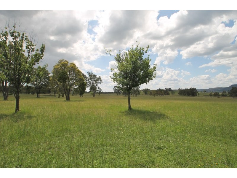 150 Iron Barks Road, Mudgee NSW 2850