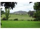 75 Crossings Road, Mudgee NSW 2850