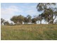 3142 Lue Road, Mudgee NSW 2850