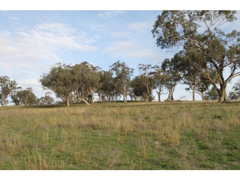 3142 Lue Road, Mudgee NSW 2850