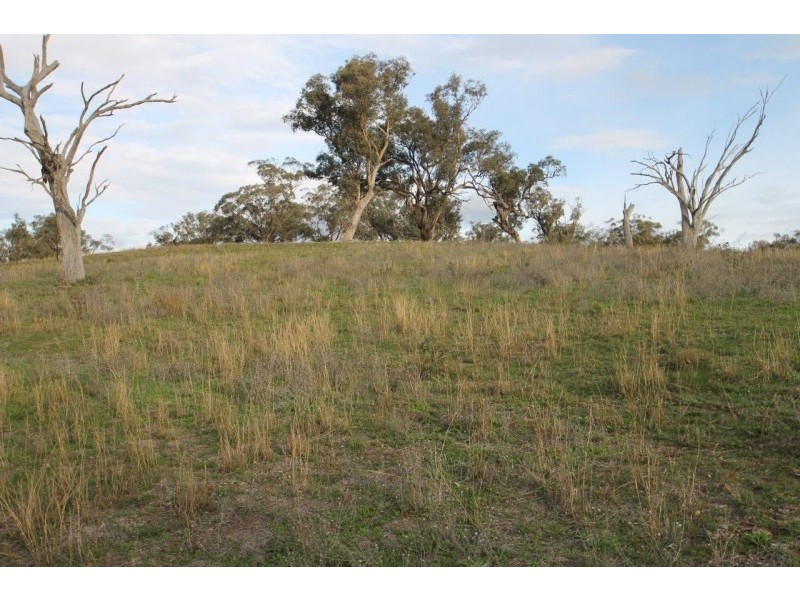 3142 Lue Road, Mudgee NSW 2850