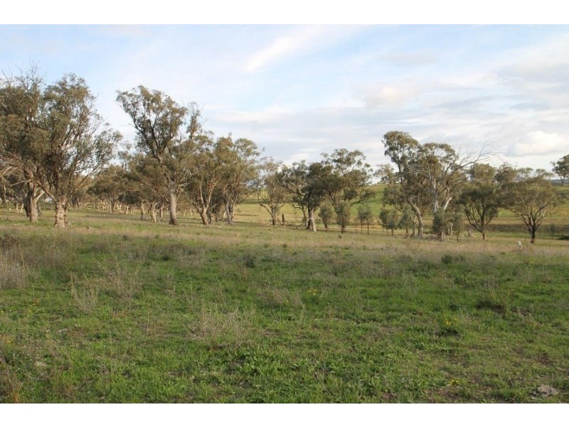 3142 Lue Road, Mudgee NSW 2850