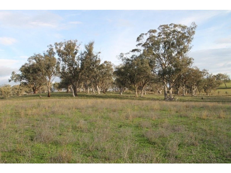 3142 Lue Road, Mudgee NSW 2850