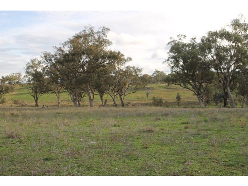 3142 Lue Road, Mudgee NSW 2850