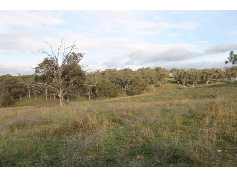 3142 Lue Road, Mudgee NSW 2850
