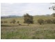 3142 Lue Road, Mudgee NSW 2850