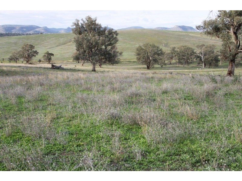 3142 Lue Road, Mudgee NSW 2850